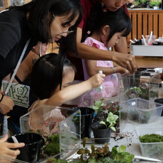 Build Your Own Moss Terrarium + Goldfish Scooping