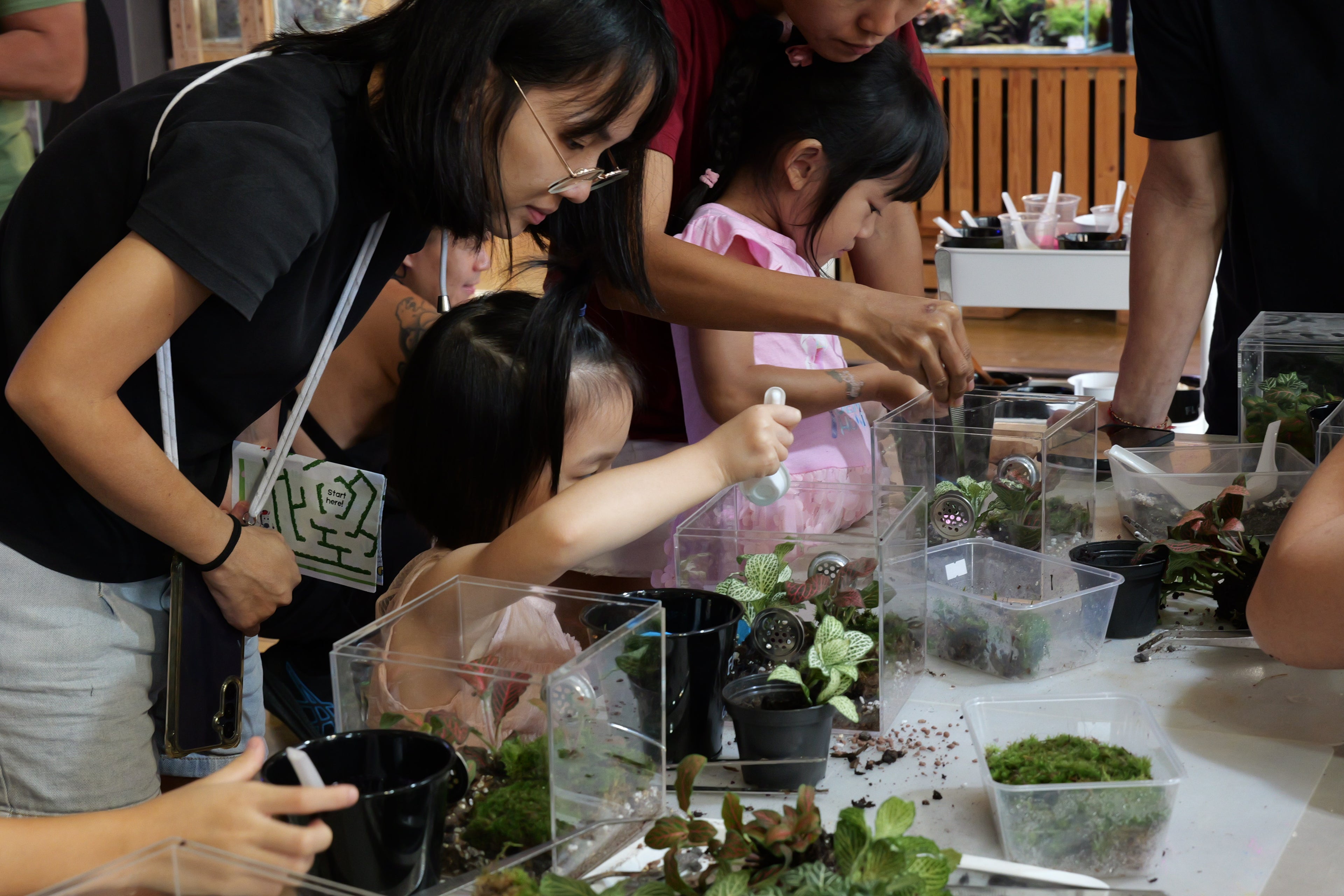 Build Your Own Moss Terrarium + Goldfish Scooping