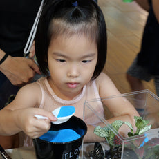 Build Your Own Moss Terrarium + Goldfish Scooping