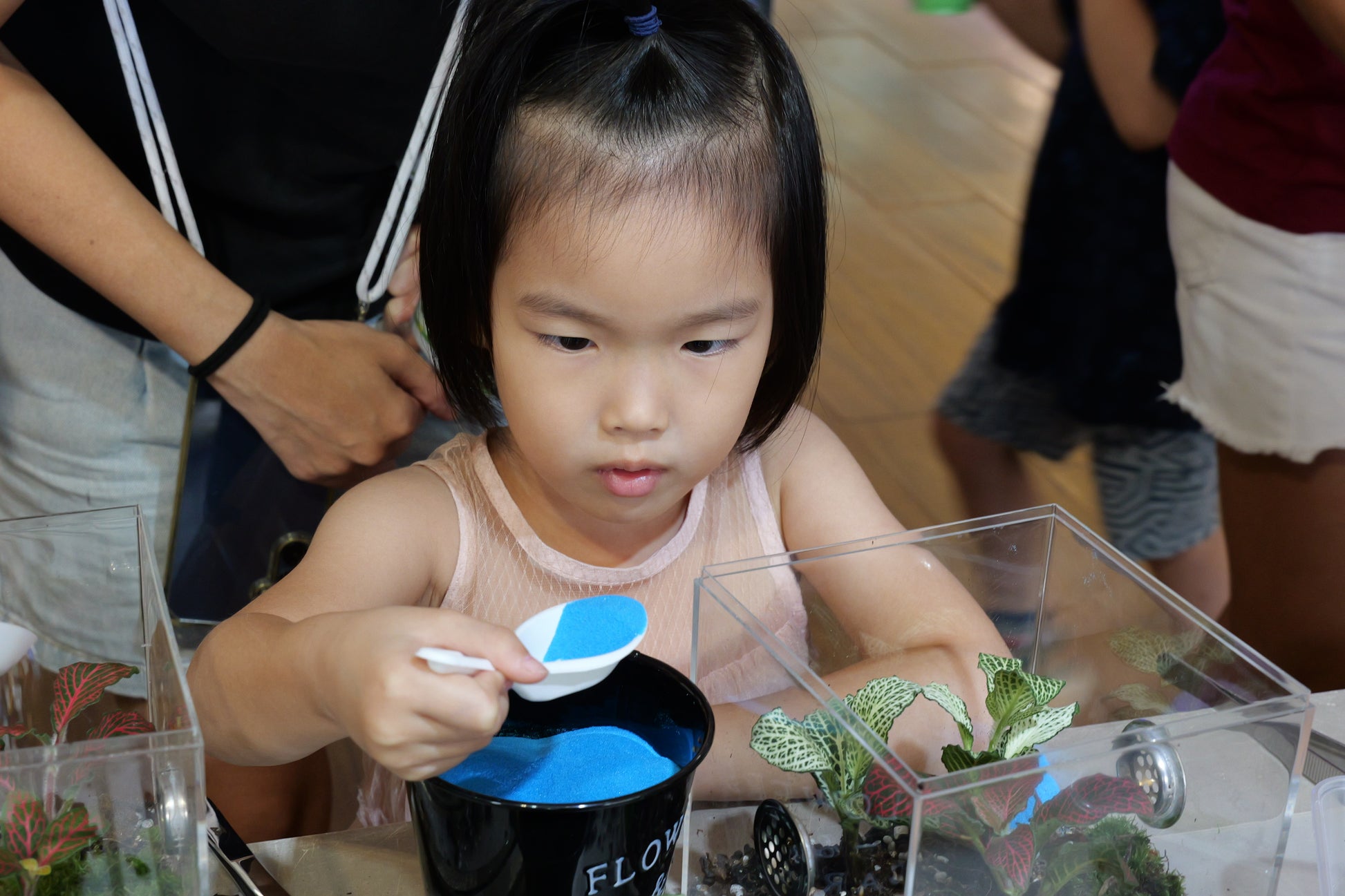 Build Your Own Moss Terrarium + Goldfish Scooping