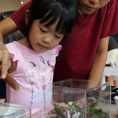 Build Your Own Moss Terrarium + Goldfish Scooping