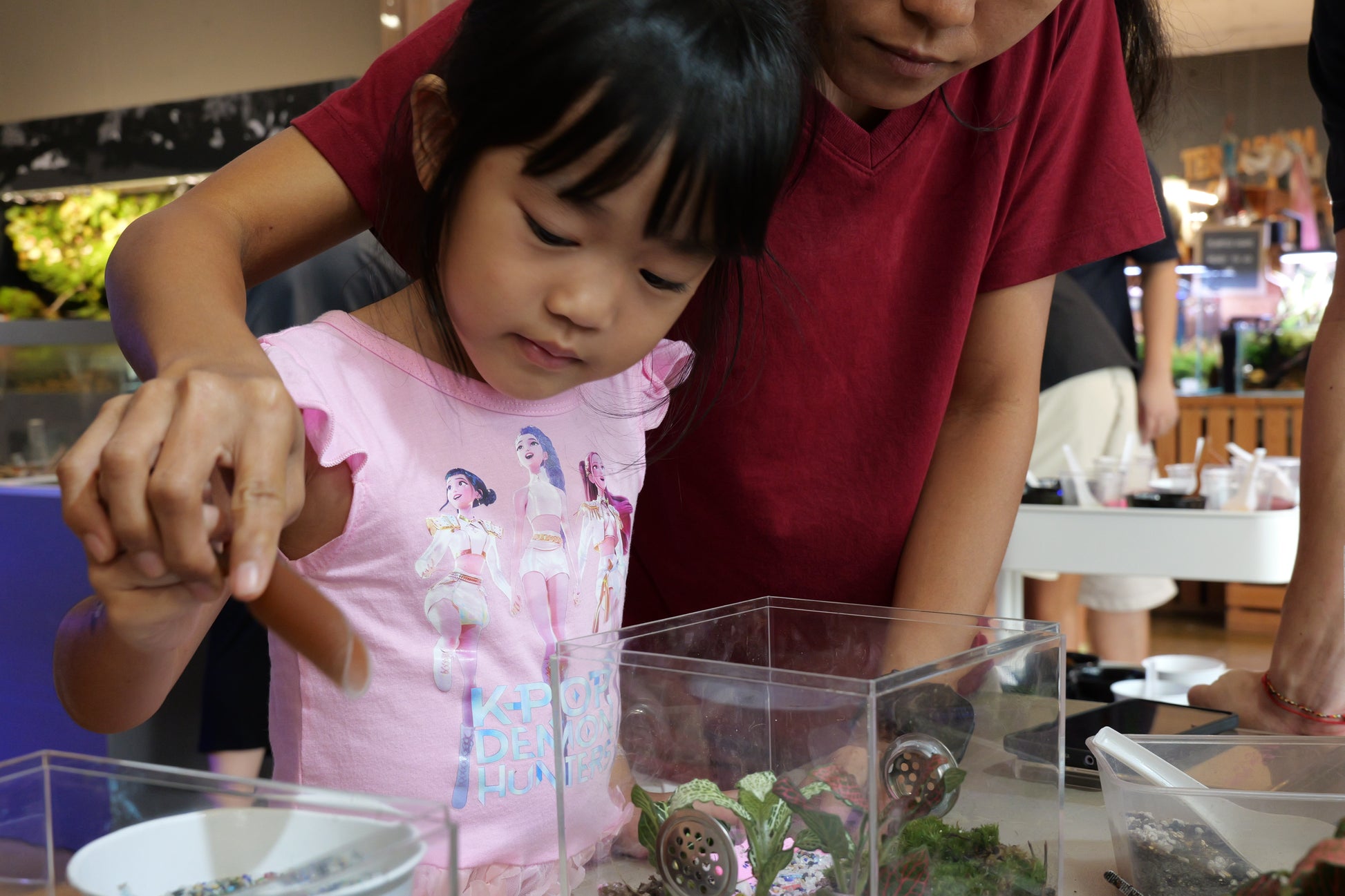 Build Your Own Moss Terrarium + Goldfish Scooping