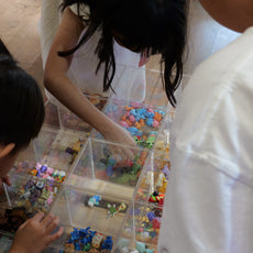 Build Your Own Moss Terrarium + Goldfish Scooping