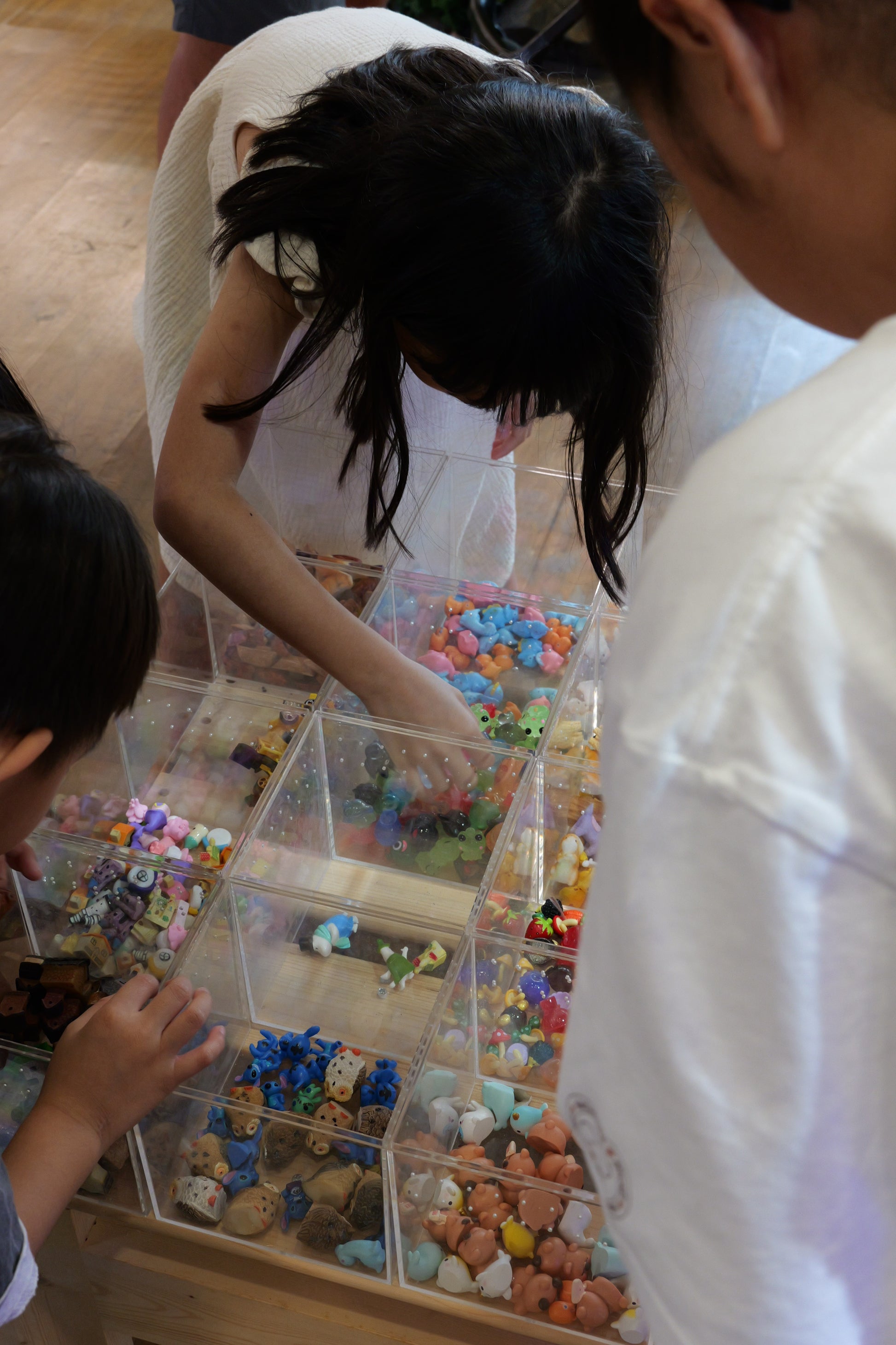 Build Your Own Moss Terrarium + Goldfish Scooping