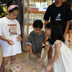 Fun with Rolly Pollies - Build Your Own Insectarium