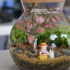 Build Your Own Moss Terrarium + Goldfish Scooping