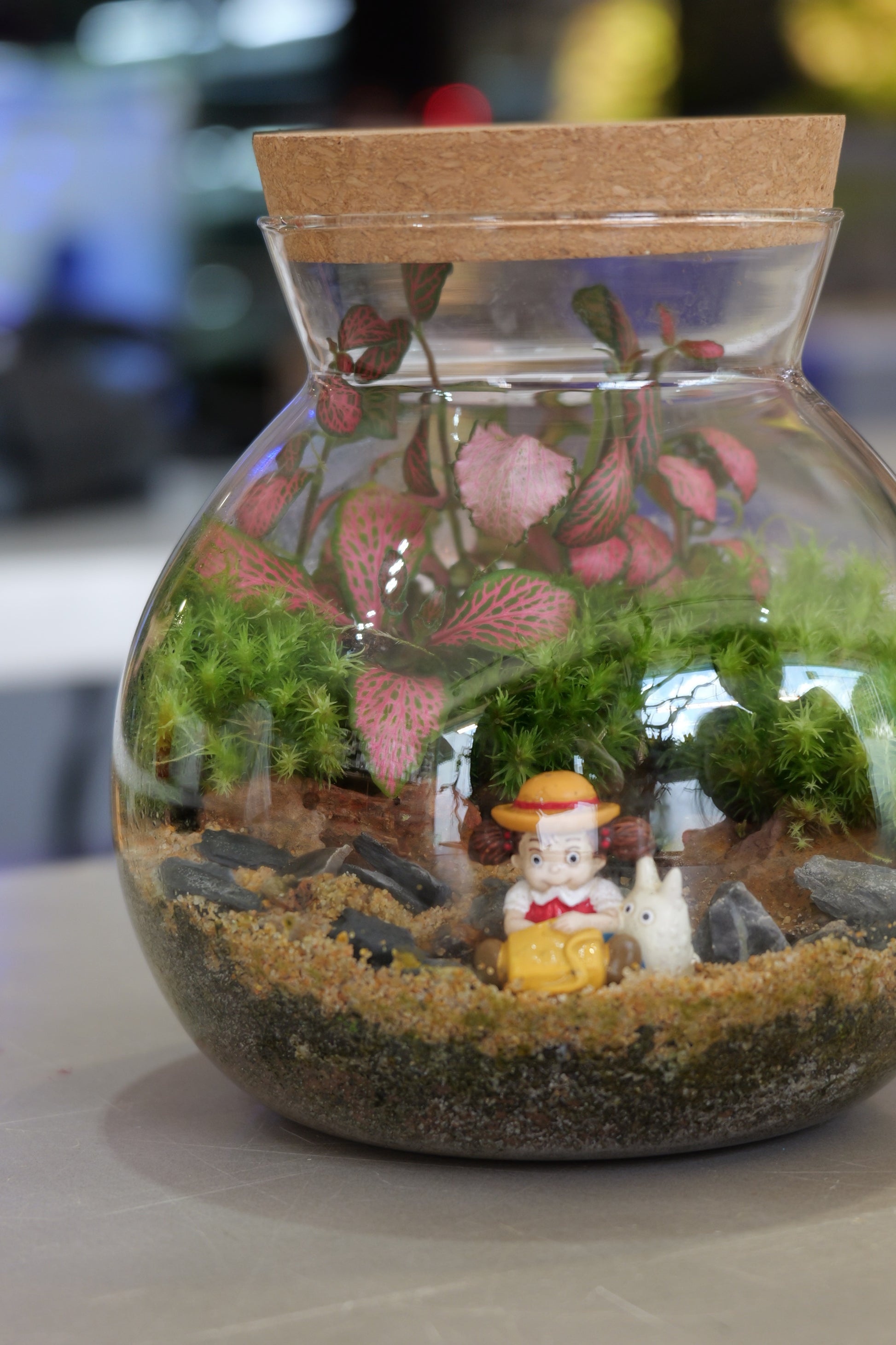 goldfish plant terrarium Build Your Own Moss Terrarium + Japan Goldfish Scooping | Kloop by Skoop