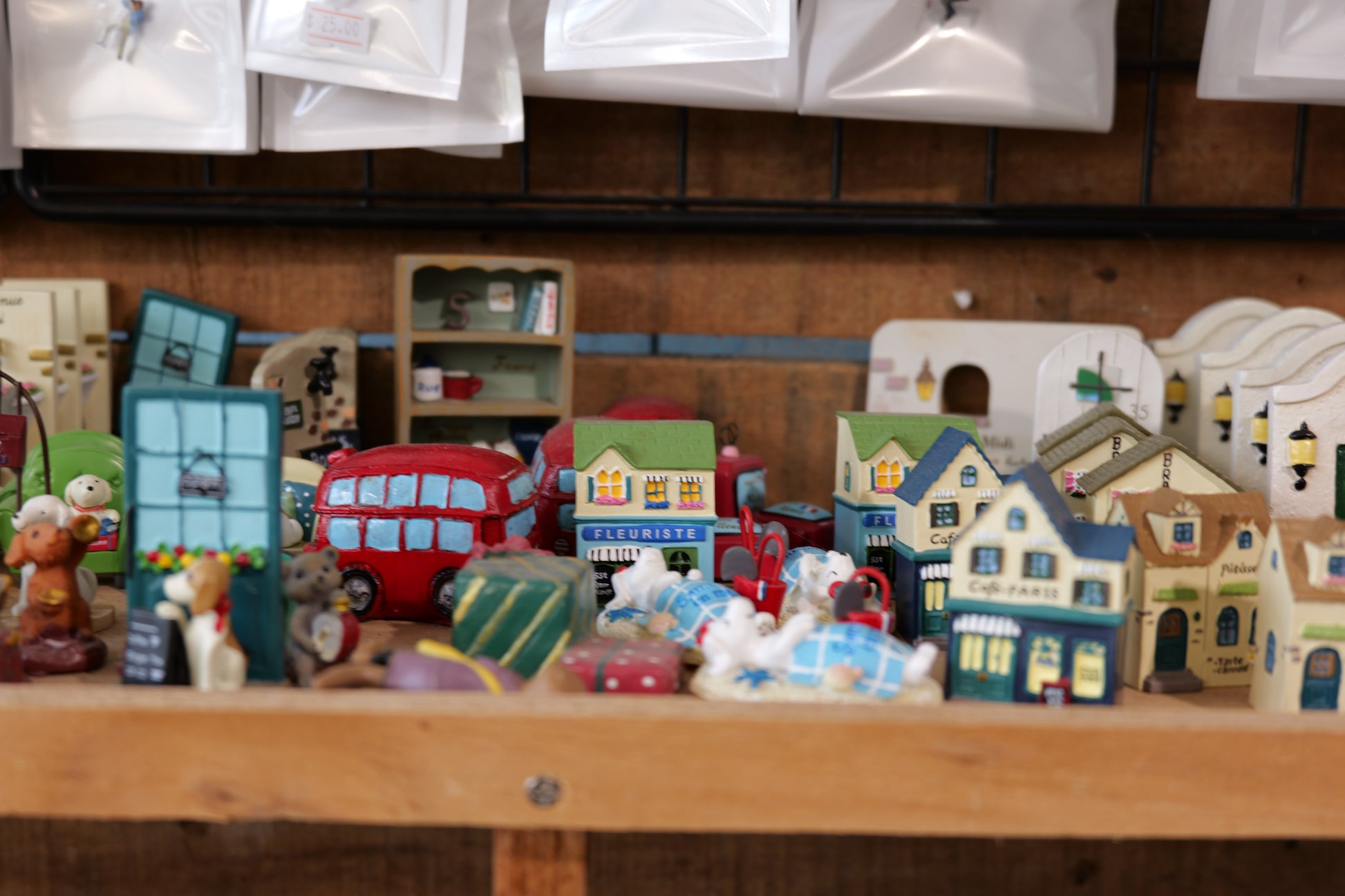 Build Your Own Moss Terrarium + Goldfish Scooping