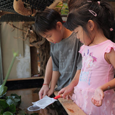 Fun with Rolly Pollies - Build Your Own Insectarium