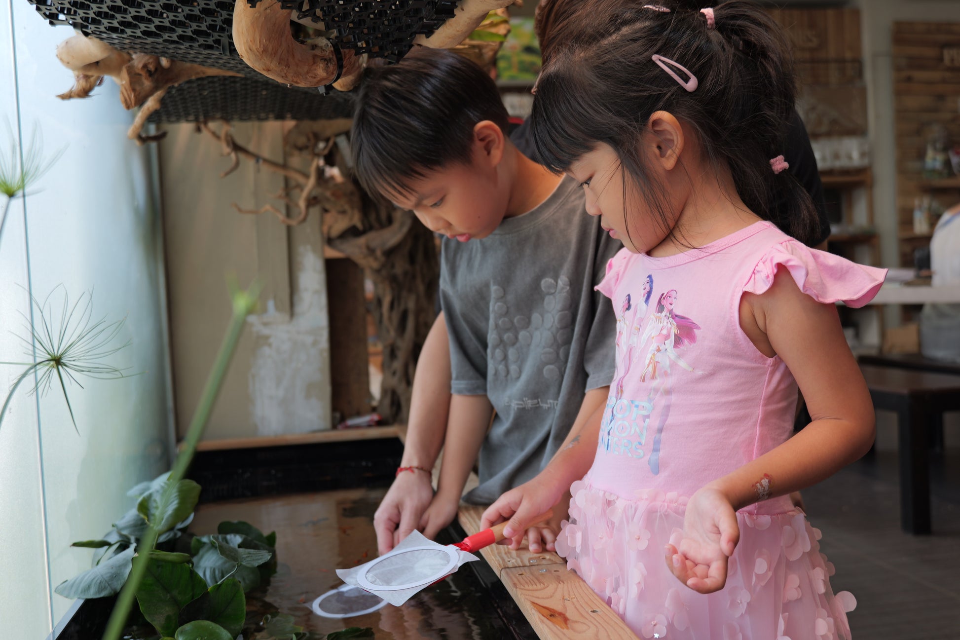 Fun with Rolly Pollies - Build Your Own Insectarium