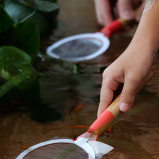 Fun with Rolly Pollies - Build Your Own Insectarium