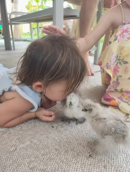 Learn to Raise Your Own Chickens (No Farm Needed!)