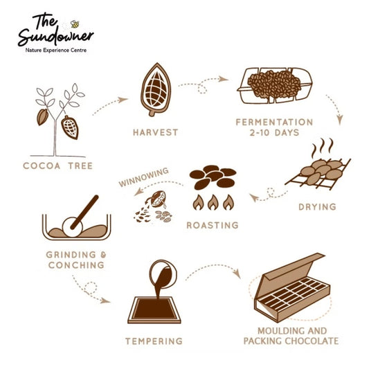 Little Chocolatier: Hands-On Chocolate-making Workshop