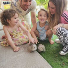 Learn to Raise Your Own Chickens (No Farm Needed!)