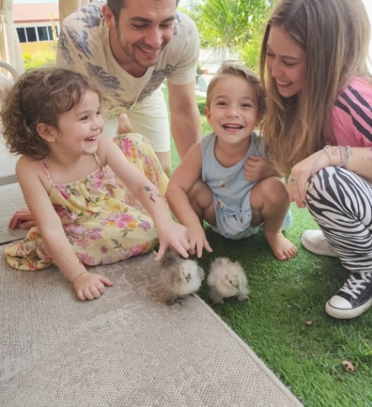 Learn to Raise Your Own Chickens (No Farm Needed!)