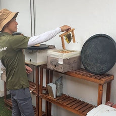 Little Candle Makers: Beeswax Fun!