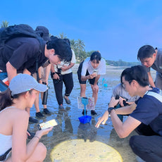 Marine & Nature Discovery Adventure (Pasir Ris Intertidal)