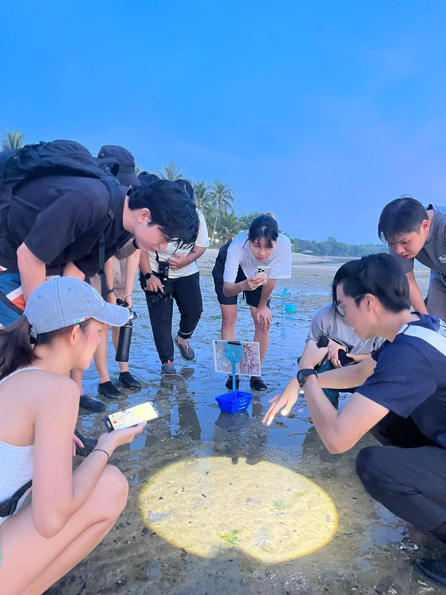Marine & Nature Discovery Adventure (Pasir Ris Intertidal)