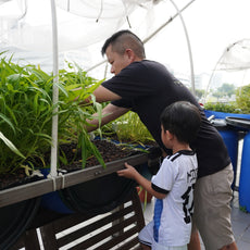 aquaponics farm