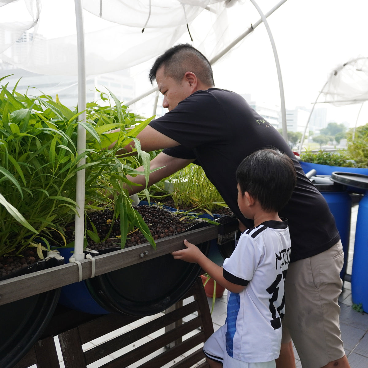 aquaponics farm