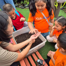Get up close with nature's secret workers - Bees, Ants & Worms!