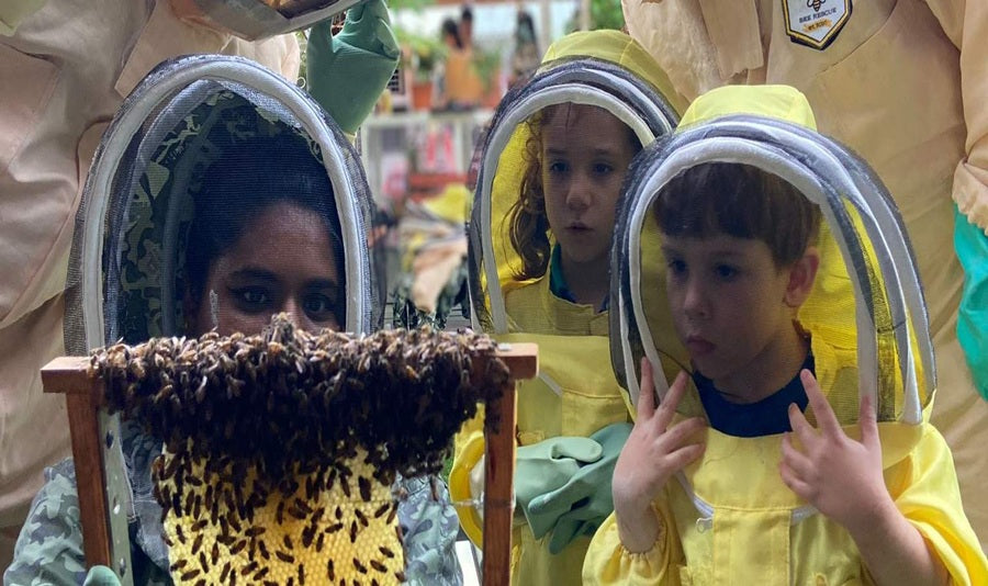 Get up close with nature's secret workers - Bees, Ants & Worms!