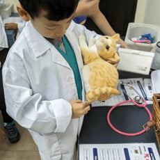 Friends of Cats: From Curiosity to Care