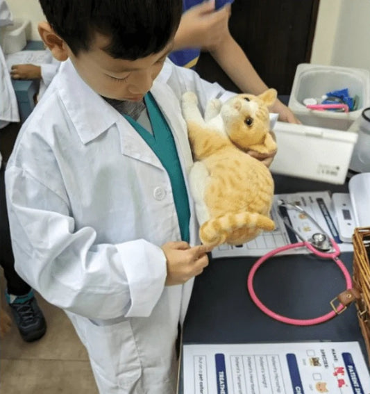 Friends of Cats: From Curiosity to Care