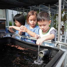 kids farm experience