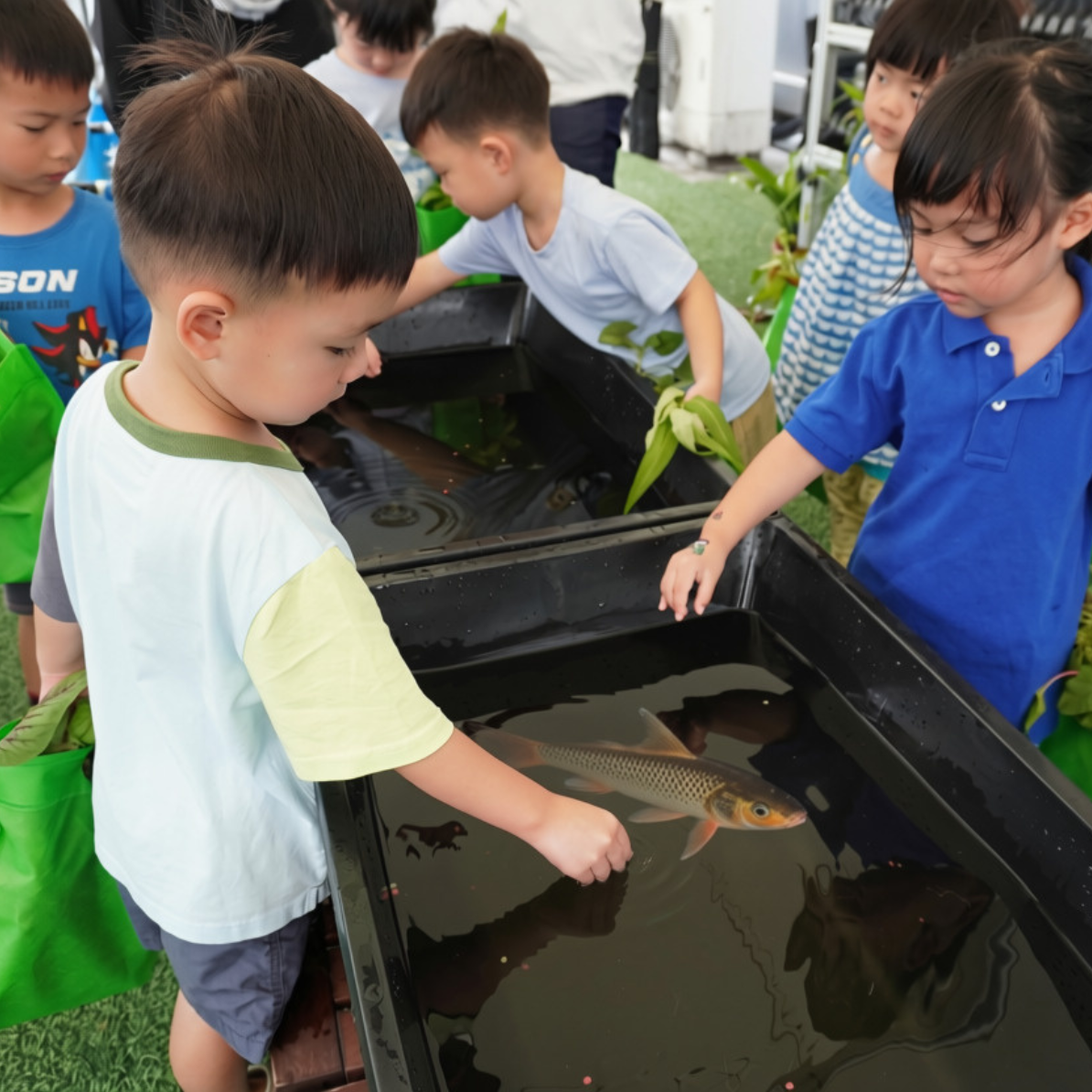 kids farm tour