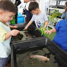 kids feeding fish