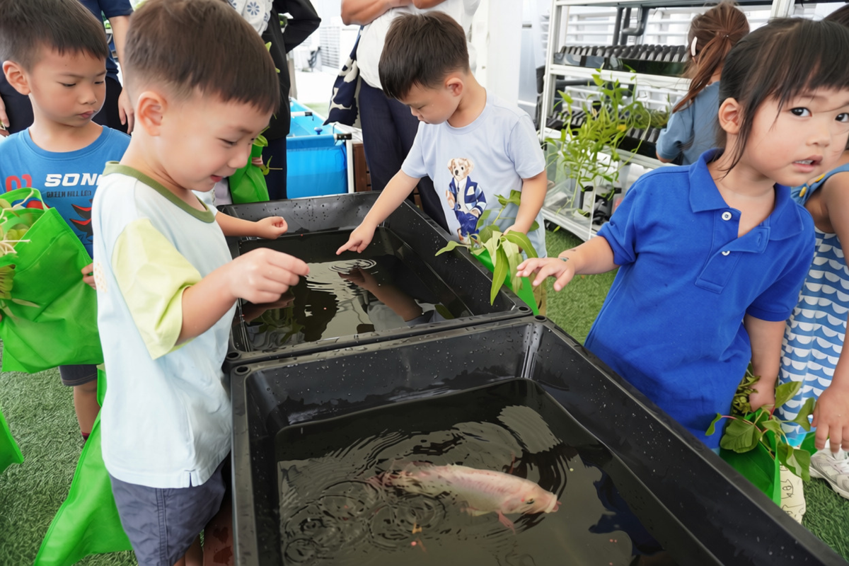 kids feeding fish