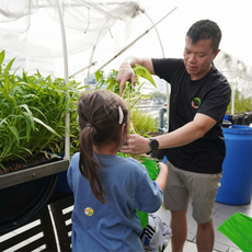 kids hydroponics farm