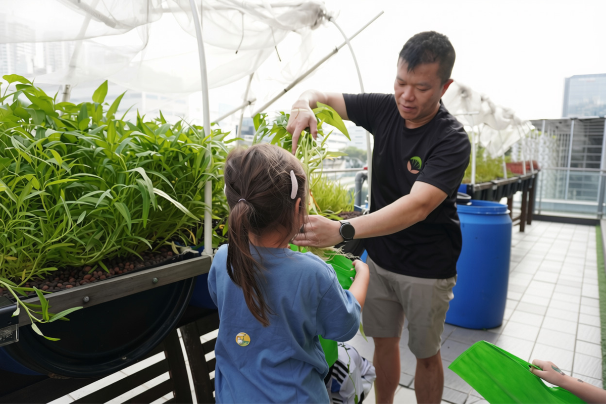 kids hydroponics farm