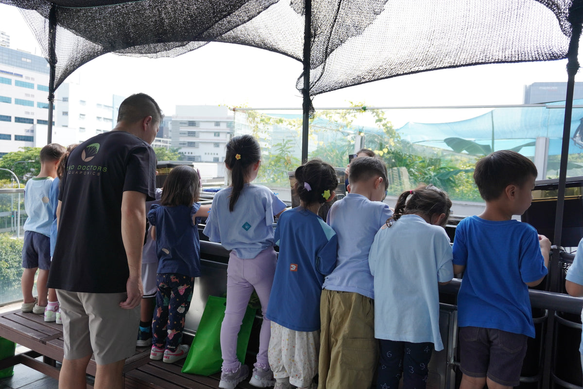 kids learning journey