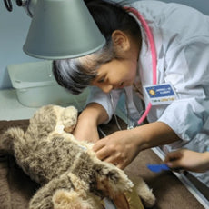 Friends of Cats: From Curiosity to Care