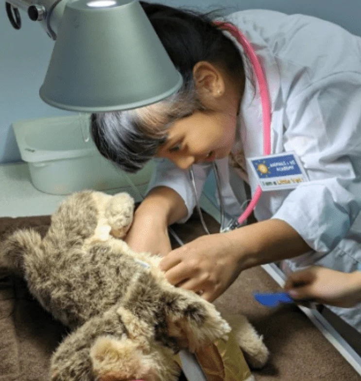 Friends of Cats: From Curiosity to Care