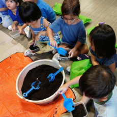 little farmers workshop