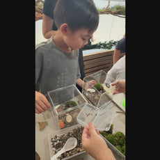 Fun with Rolly Pollies - Build Your Own Insectarium